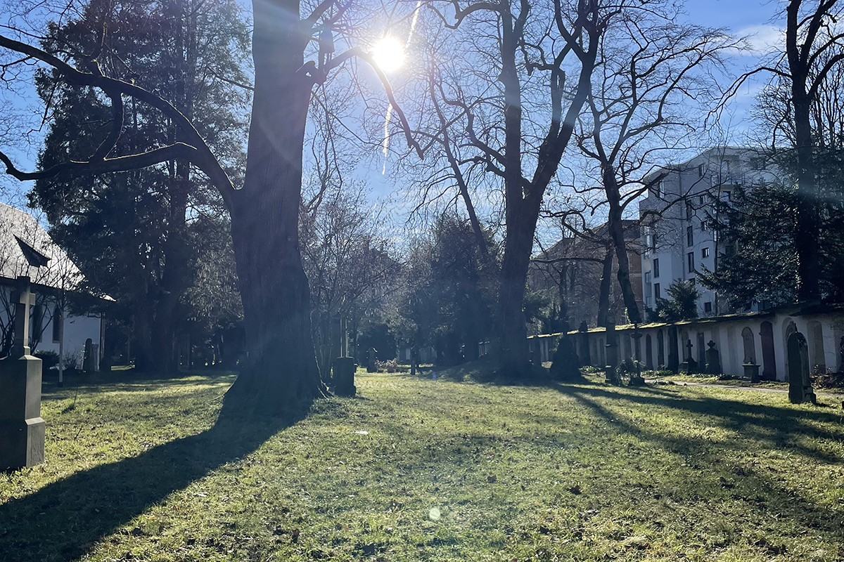 Grüne Freifläche auf dem Friedhof