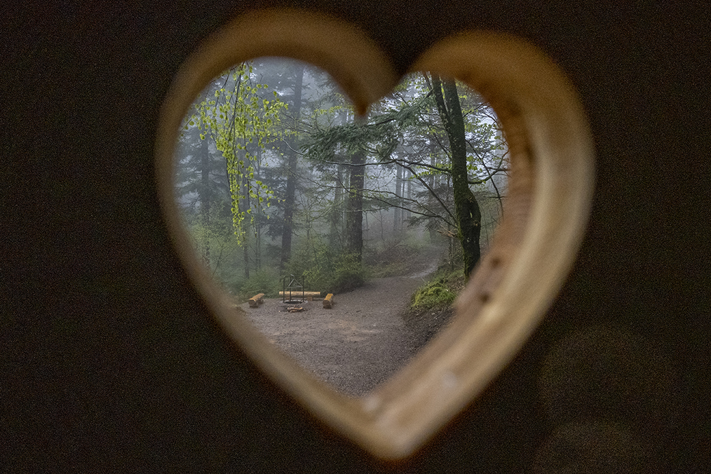 Blick aus dem herzförmigen Fenster eines Klohäuschens auf eine Grillstelle im Wald